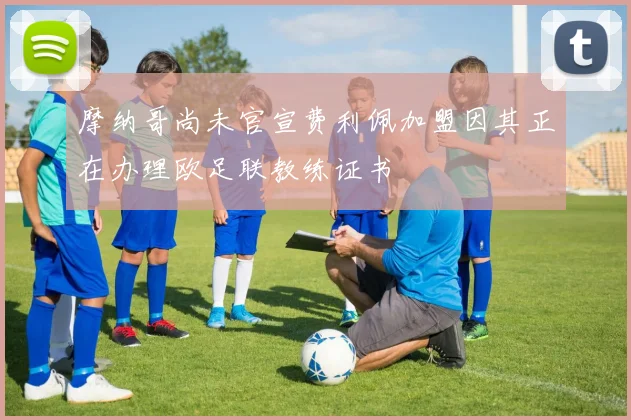 摩纳哥尚未官宣费利佩加盟因其正在办理欧足联教练证书