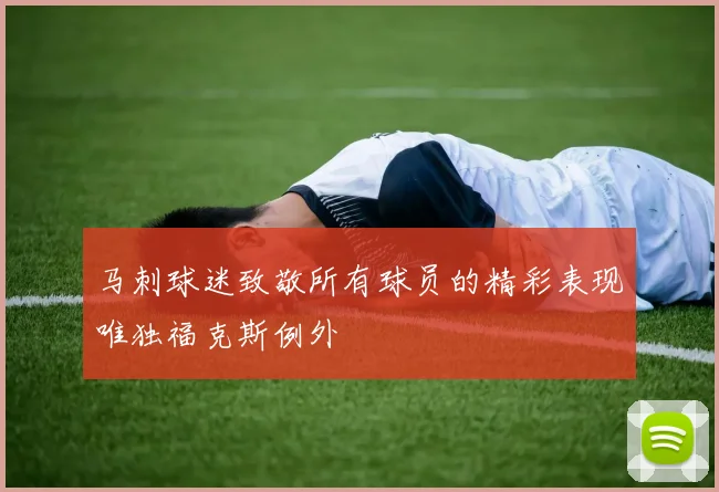 马刺球迷致敬所有球员的精彩表现唯独福克斯例外