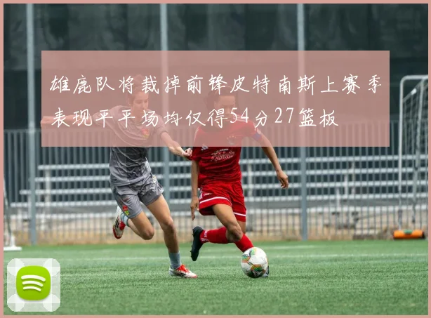 雄鹿队将裁掉前锋皮特南斯上赛季表现平平场均仅得54分27篮板